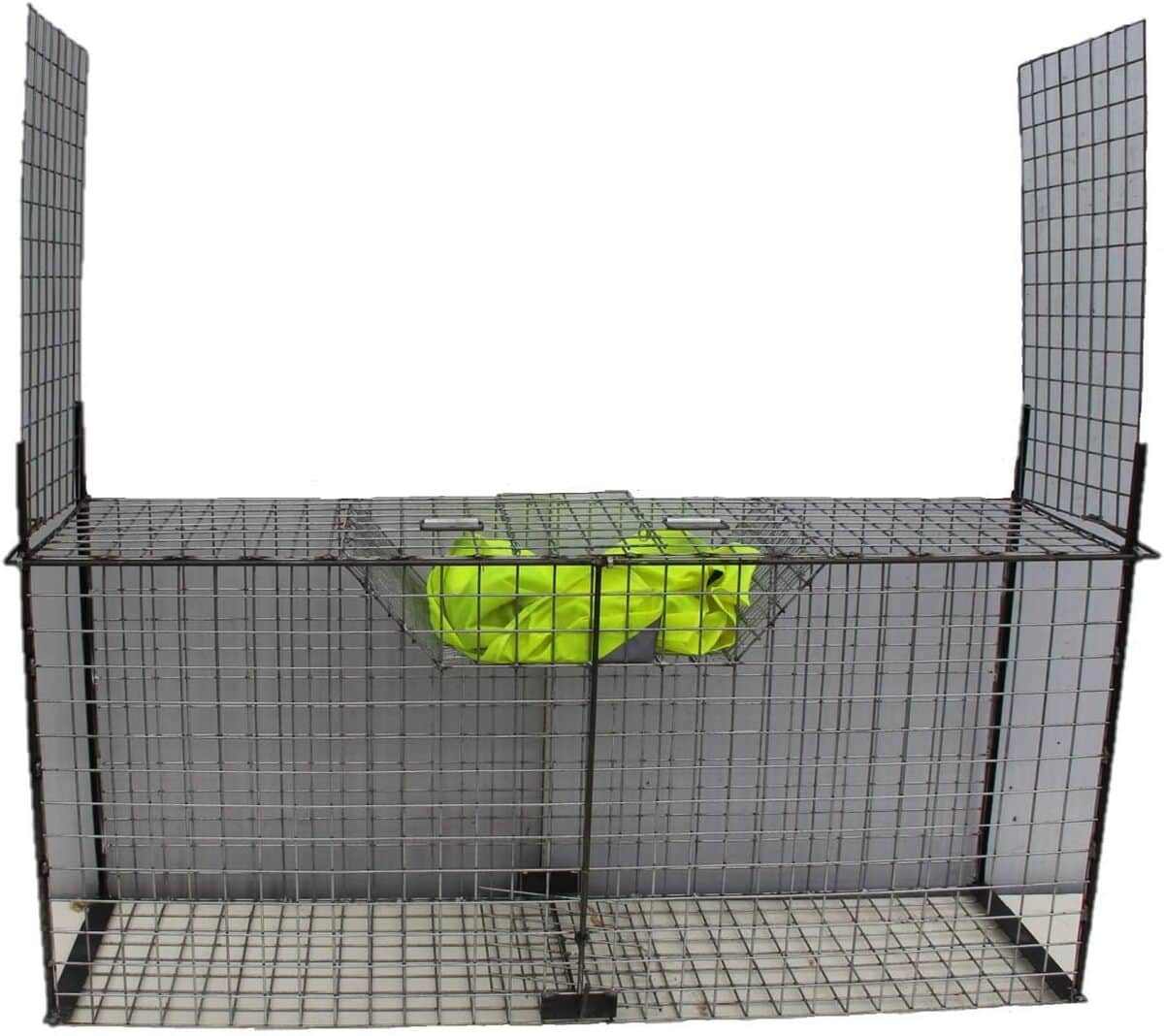 Test du piège Trapgallier cage capture renards 2 entrées