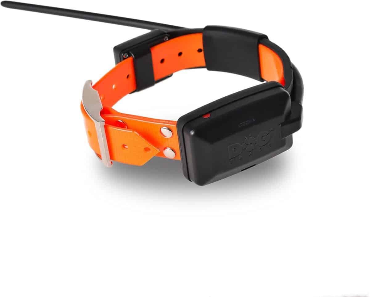 Avis sur le collier DOGTRACE X20 supplémentaire pour GPS sans abonnement