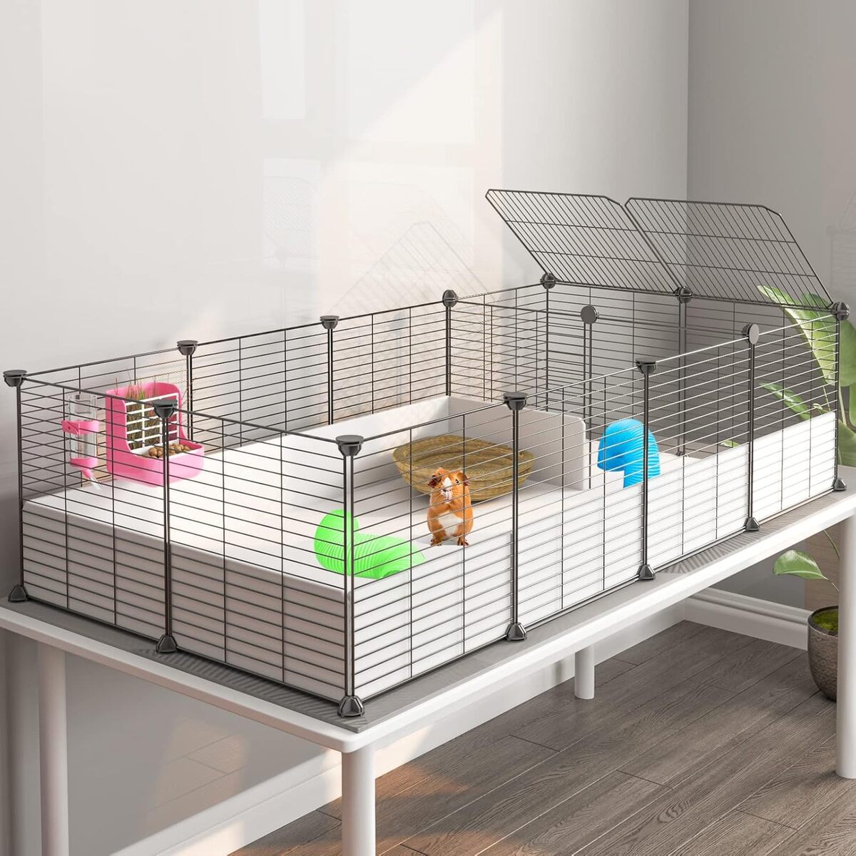 Test de la cage Oneluck Eiiel : protection imperméable pour petit animal