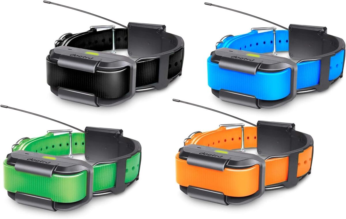 Test : dogtra Pathfinder, collier vert pour chien