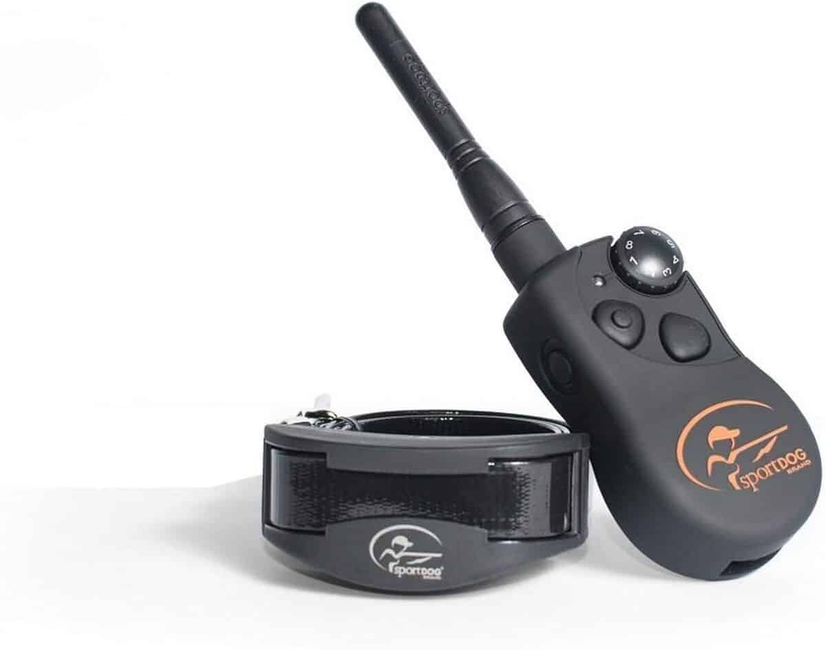 Test SportDOG - collier de dressage SportTrainer 1200 m