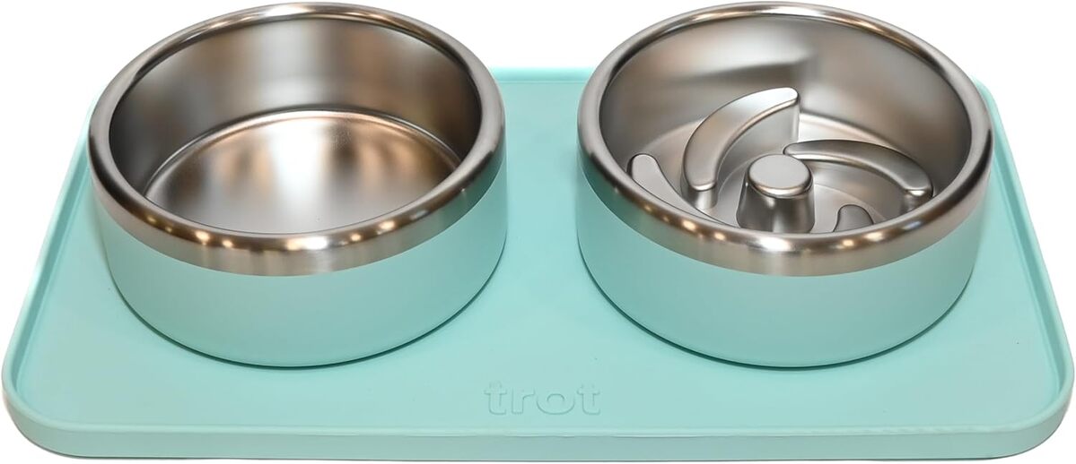 Test des gamelles en acier inoxydable Trot Pets : durabilité et confort