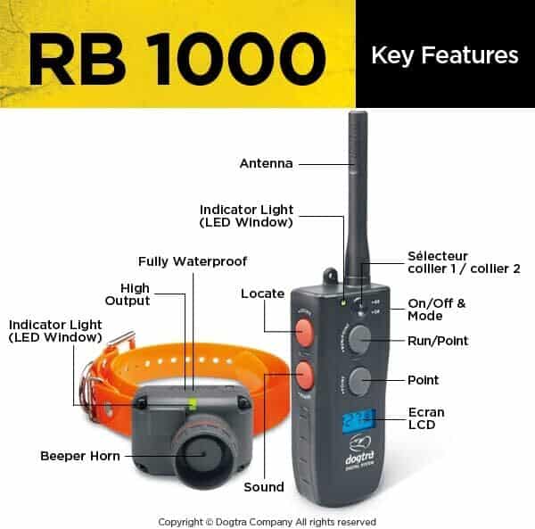 Dogtra RB 1000 Collier de Repérage, 3 Modes de Localisation avec Ecran LCD et Vibration, Étanche IPX9K, 4 Tonalites au Choix - Système 1 Chien - Portée 1500 m
