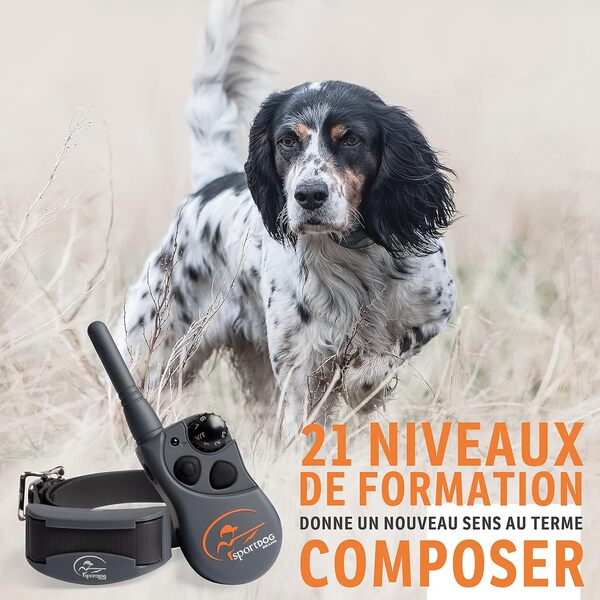 SportDOG - Collier de Dressage SportTrainer pour Chien, Télécommande Submersible, 21 Niveaux de Stimulation (Électrostatique, Vibration, Signal Sonore) - Portée 450 m