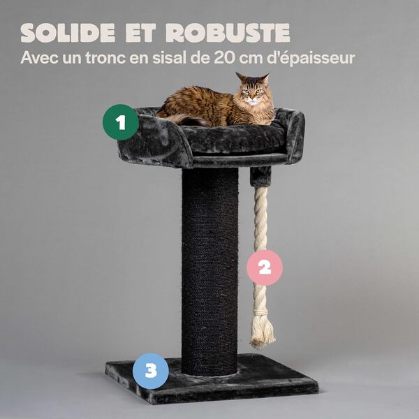 Arbres à Chat RHRQuality pour Grands Chats - Chartreux - 80 cm de Haut - avec Poteau en sisal Extra épais de 20 cm - Bac de litière Luxueux de ⌀60 cm - Blackline Gris foncé
