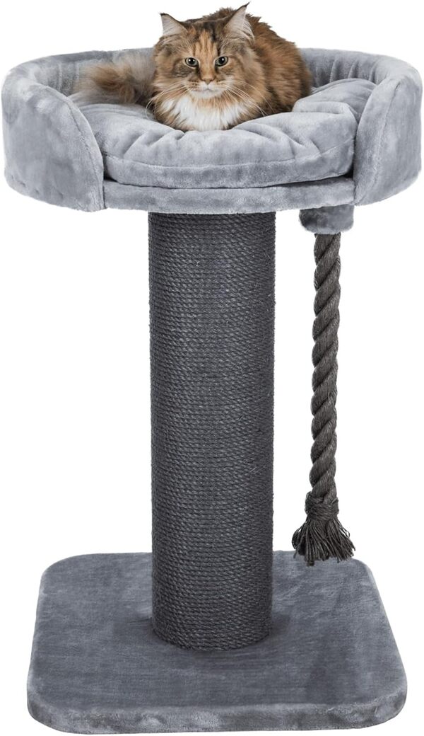 TRIXIE 44676 Arbre à Chat XXL Klara 20379.7 g