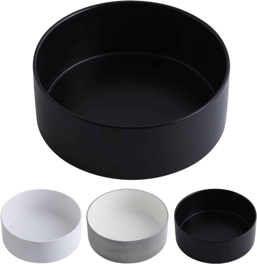 Test de la gamelle Addogyy en céramique antidérapante pour chiens