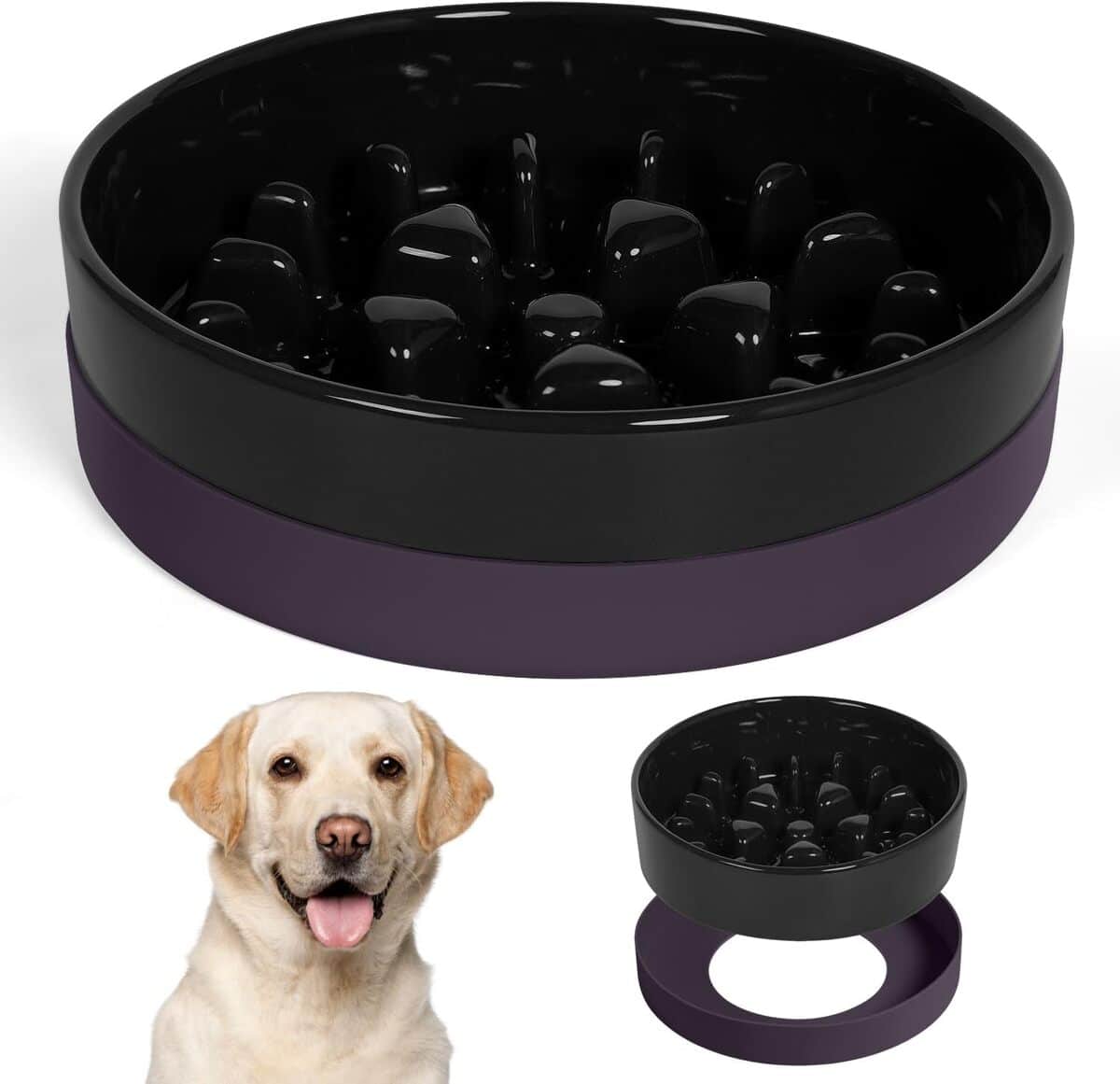 Test de la gamelle Slow Food pour chien Noir L