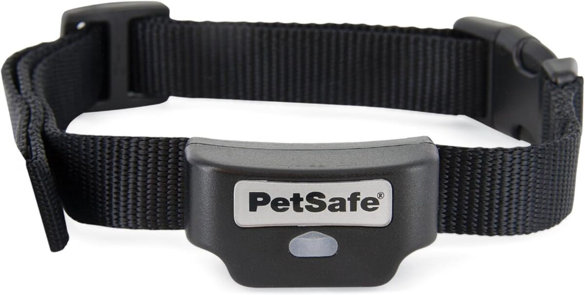 Test du collier rechargeable PetSafe pour clôture anti-fugue