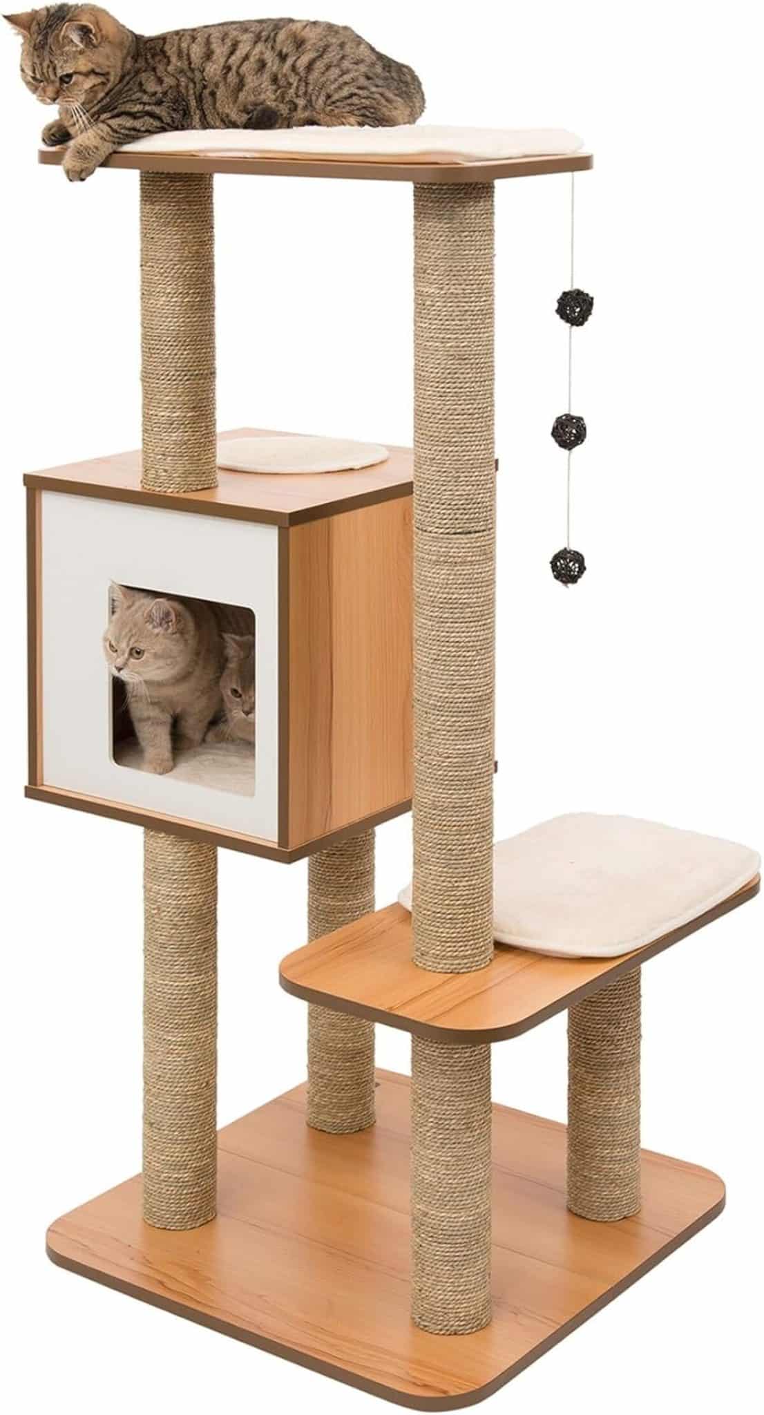Test du Vesper arbre à chat haute en noyer