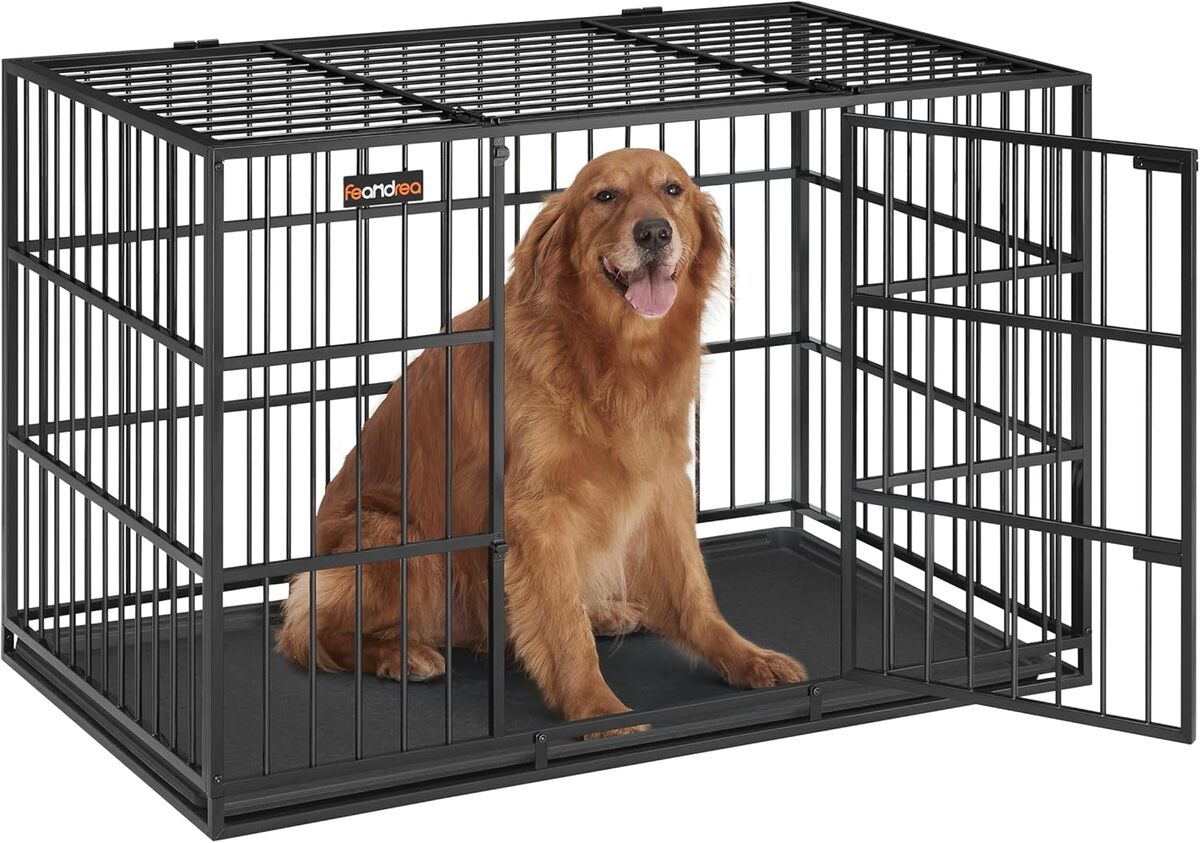 Test : feandrea cage ultra-résistante pour chiens moyens et grands