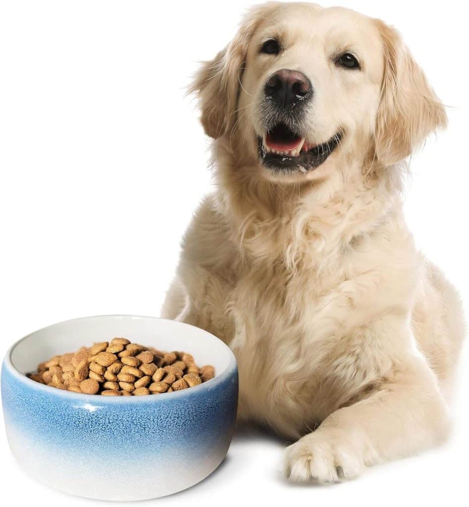 Test : gamelle antidérapante Byer of Maine pour grands chiens en porcelaine bleue