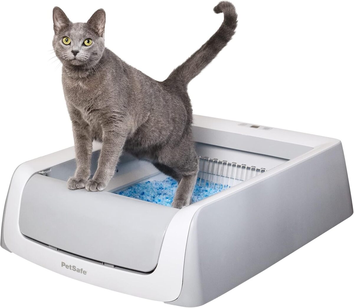 Test : bac à litière autonettoyant PetSafe ScoopFree 2ème Génération