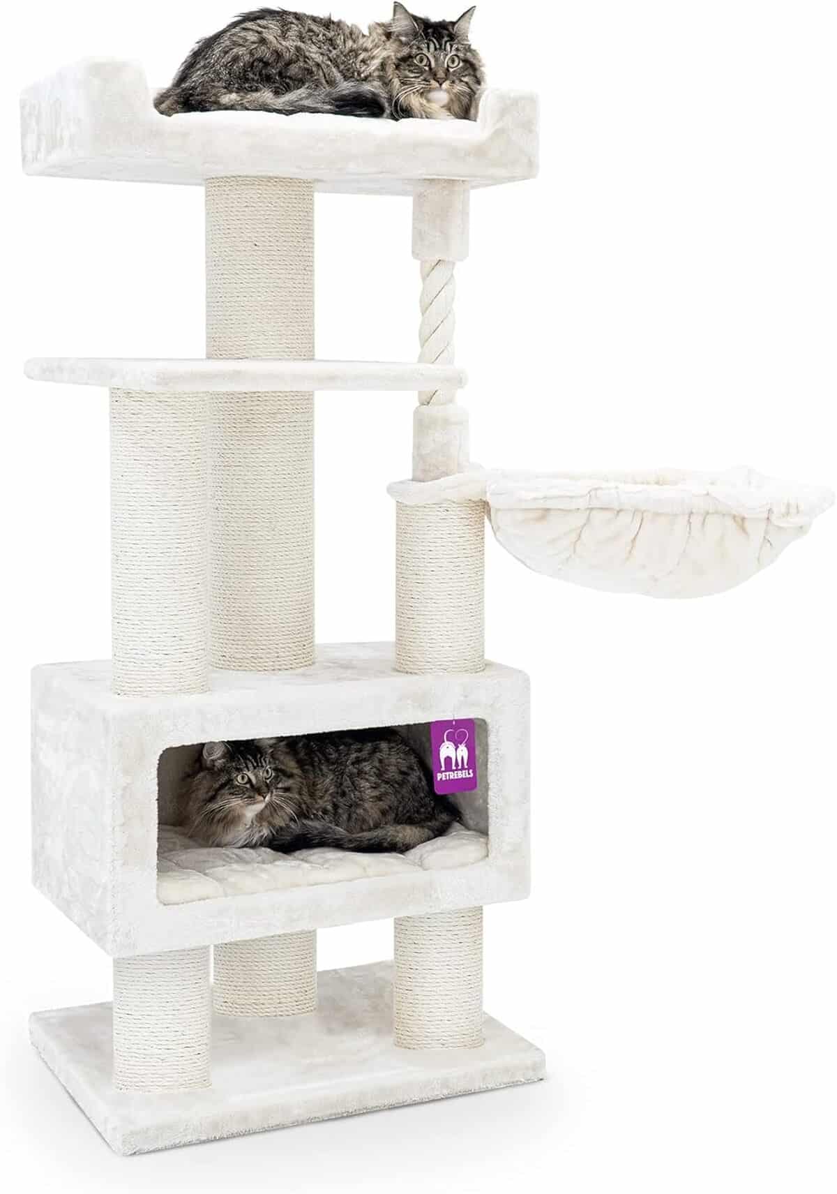 Test de l'arbre à chat Petrebels Parklane 131 cm : design et confort
