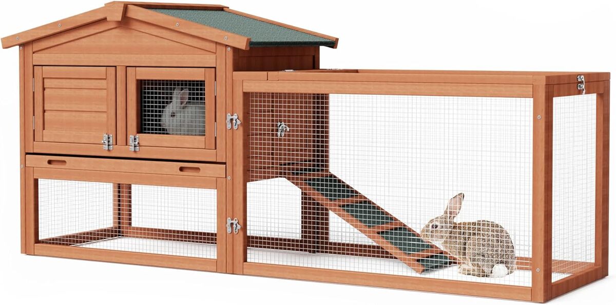 Test du clapier XXL Wiltec : abri spacieux pour vos rongeurs