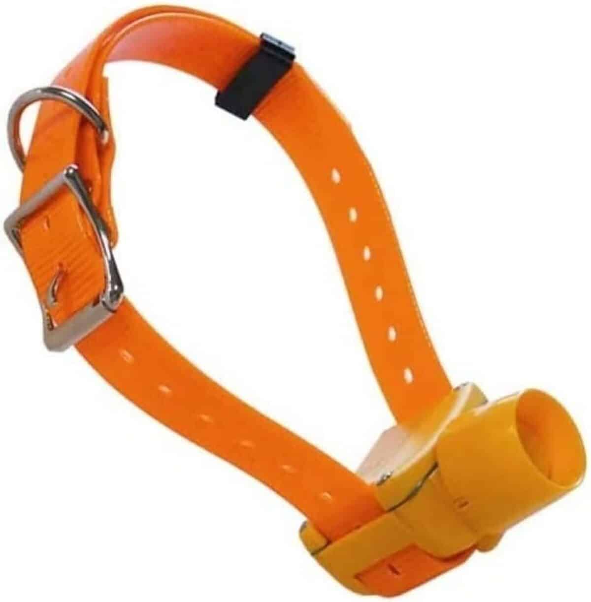 Test du collier Canibeep Radio Pro orange pour chien