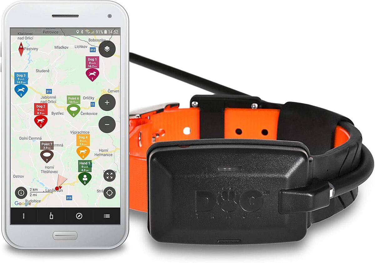 Test du collier GPS + beeper DOGtrace X30