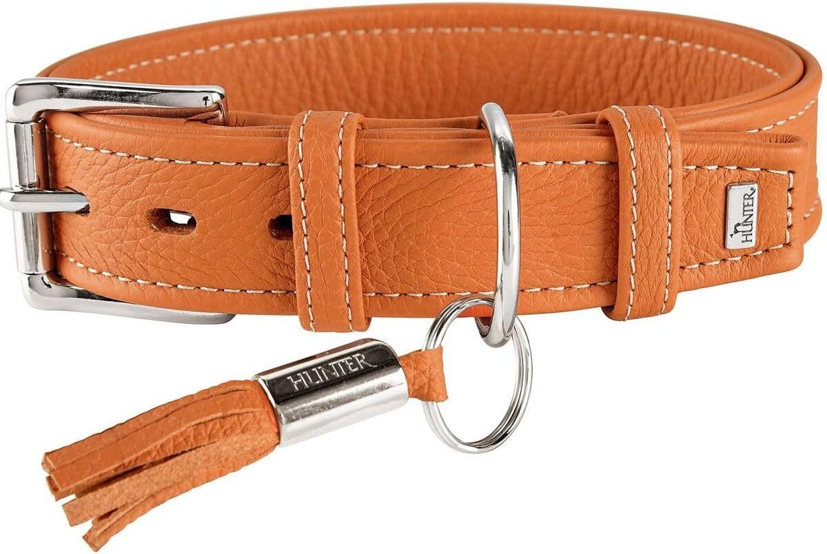 Test du collier pour chien Hunter Cannes en cuir nappa
