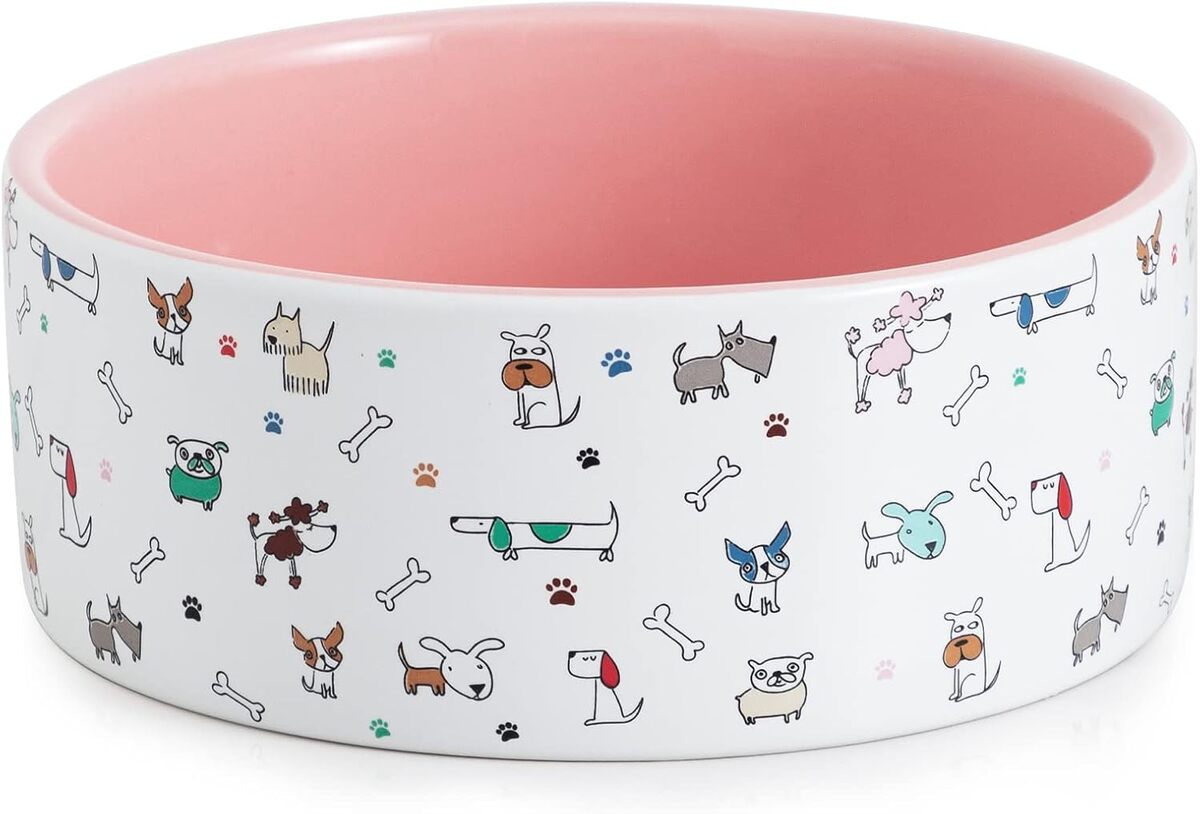 Test : gamelle en céramique Fun Elements taille L pour chiens de grande taille