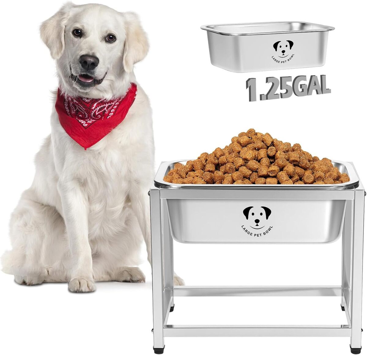 Test : gamelle surélevée en inox 4L pour grands chiens