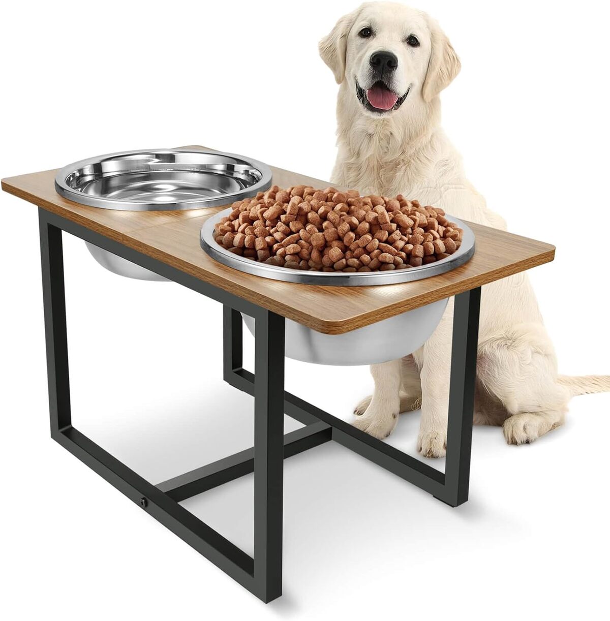 Test : gamelles surélevées Spacnom XL pour grands chiens