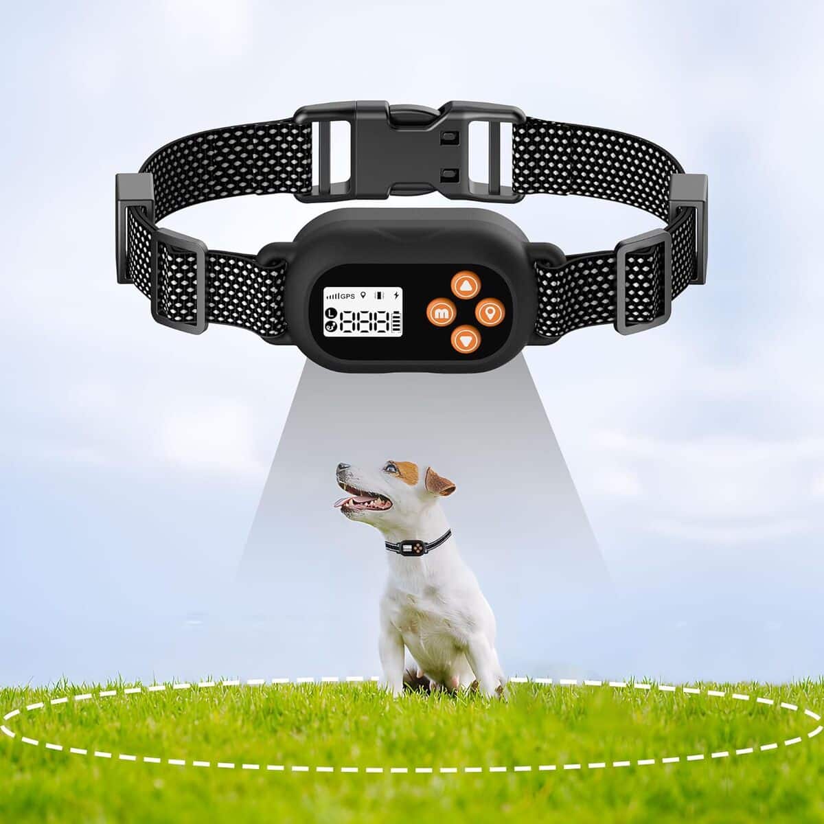 Test du collier anti-fugue GPS IPX7 pour chiens