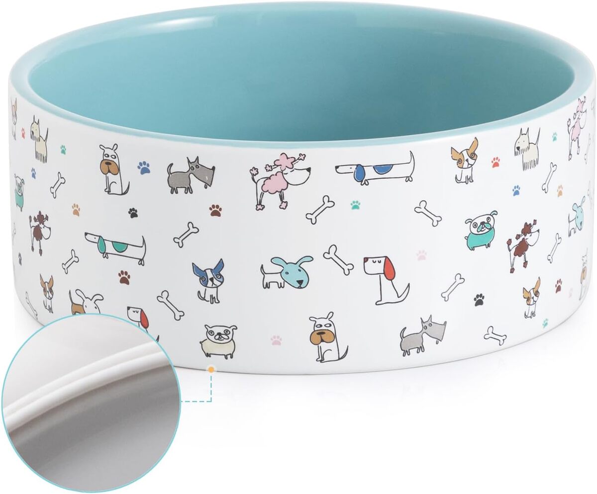 Test : gamelles en céramique Fun Elements pour grands chiens, 1, 8 l