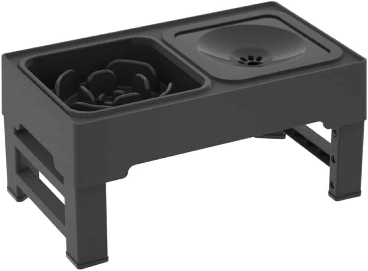 Test : gamelles surélevées réglables pour chiens de grande taille