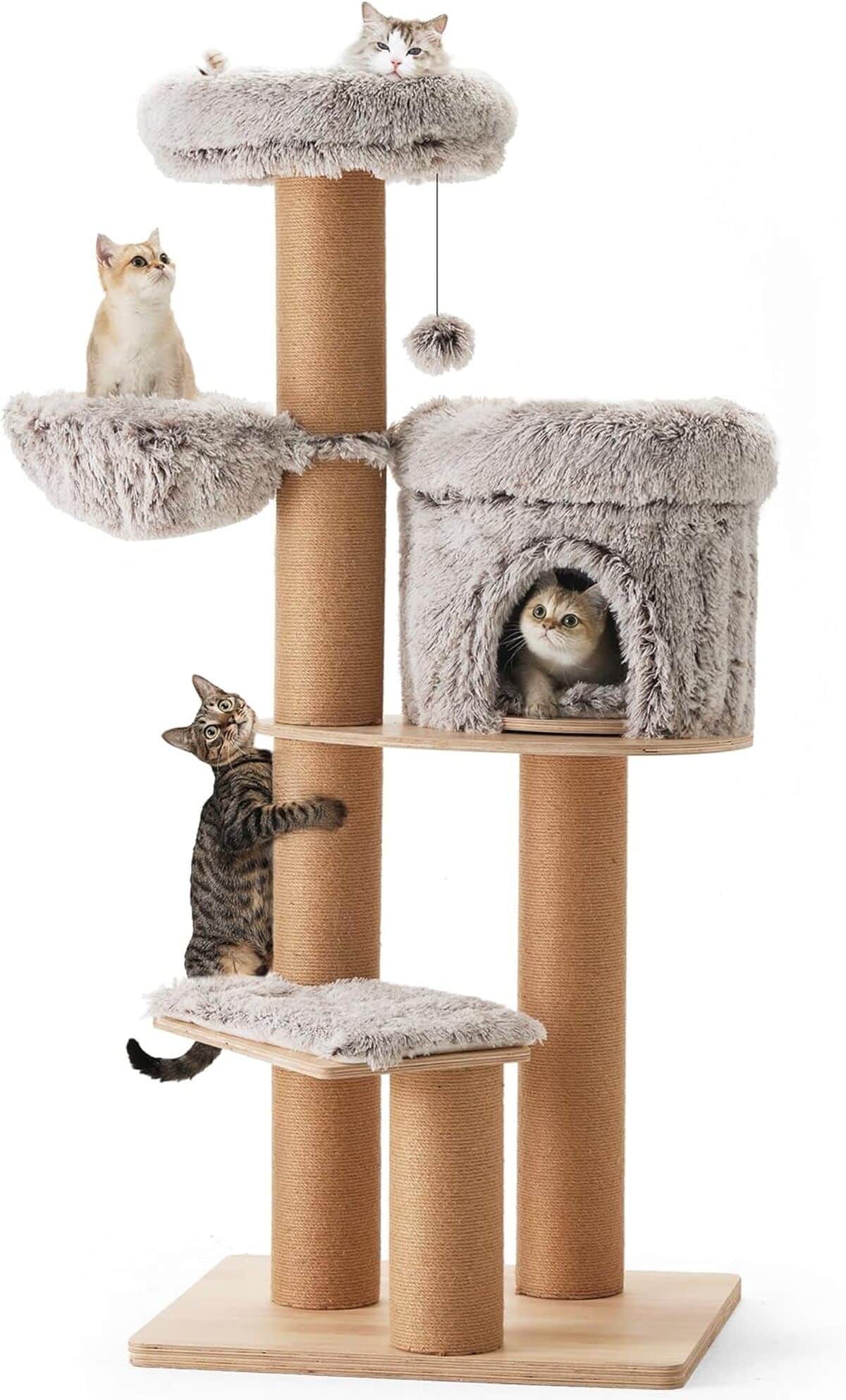 Avis sur l'arbre à chat FUKUMARU 155 cm : confort et divertissement assuré