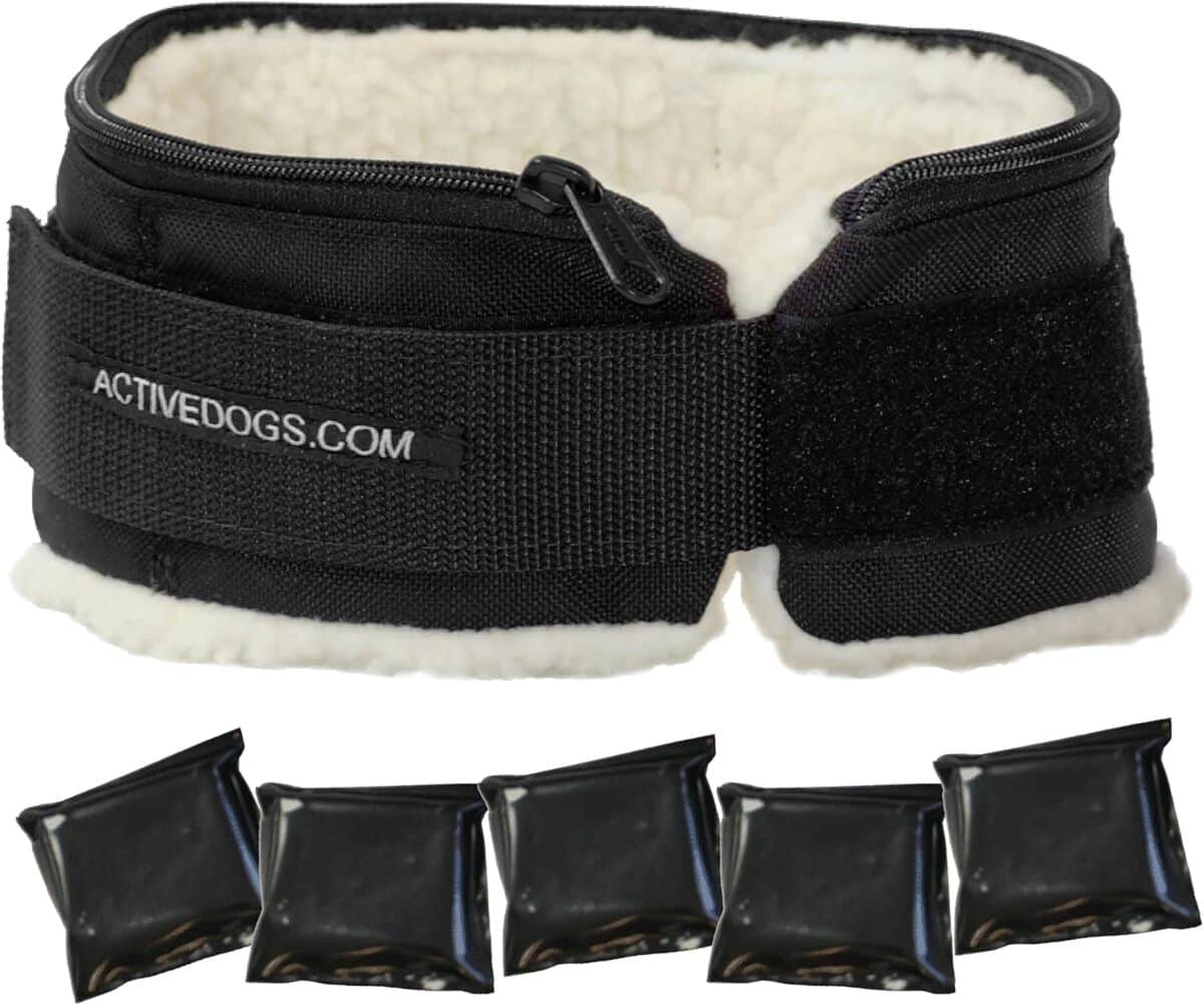Avis sur le collier lesté pour chien 12, 7 x 3, 8 kg