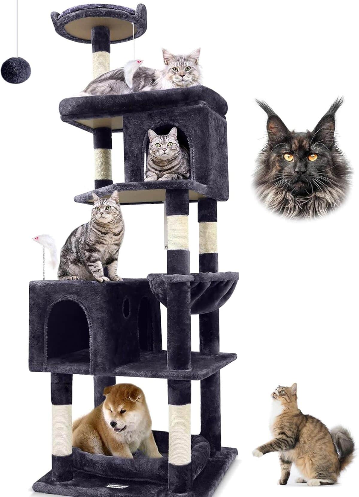 Test : arbre à chat XXL Globlazer S72 pour maine coon