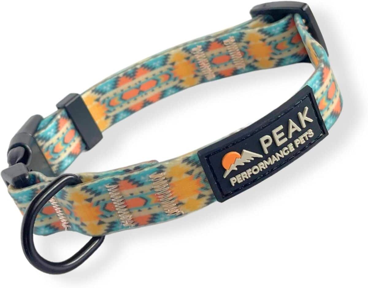 Test du collier imperméable Peak Performance Pets Overlook pour chiens de grande taille