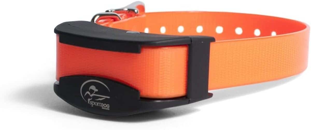 Test du collier supplémentaire SportTrainer de PetSafe : efficacité et portée