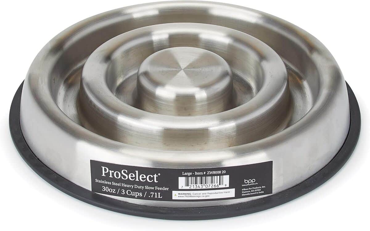 Test mangeoire ProSelect : lente et ultra-résistante en inox, taille L