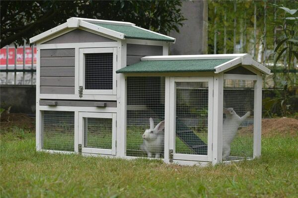 BUNNY BUSINESS The Grove Clapier à Deux étages pour Lapin/Cochon d'Inde Gris