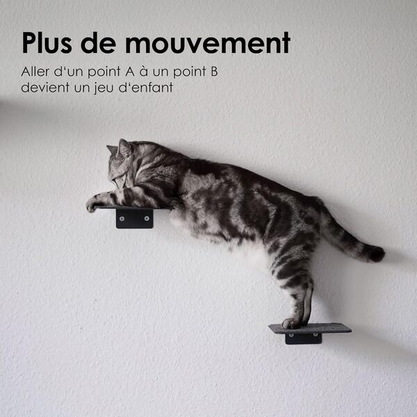 LucyBalu® Steps Escalier pour Chats Mur intérieur & extérieur Set de 3 | Mur d'escalade pour Chats | jusqu'à 7kg | échelle pour Chats | revêtement antidérapant | Fixation Murale | 18x18 cm Anthracite