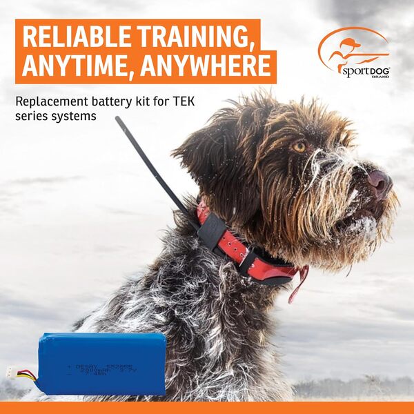 Batteria 1600mAh Compatibile Con SportDOG TEK 2.0 GPS Collar – Sostituisce V2GBATT – Li-Polymer 3.7V
