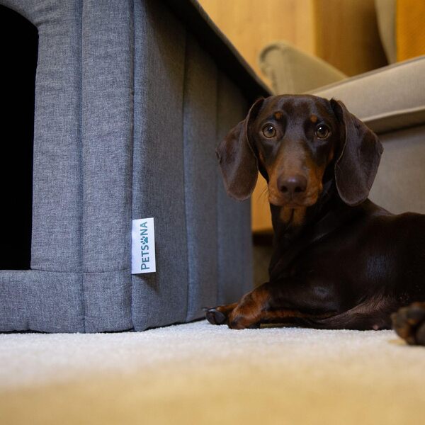 Niche pour Chien Lit pour Chat Animal Pliable avec Toit Amovible Lit De Grotte Animal De Compagnie Couchage Taille XXL, Gris