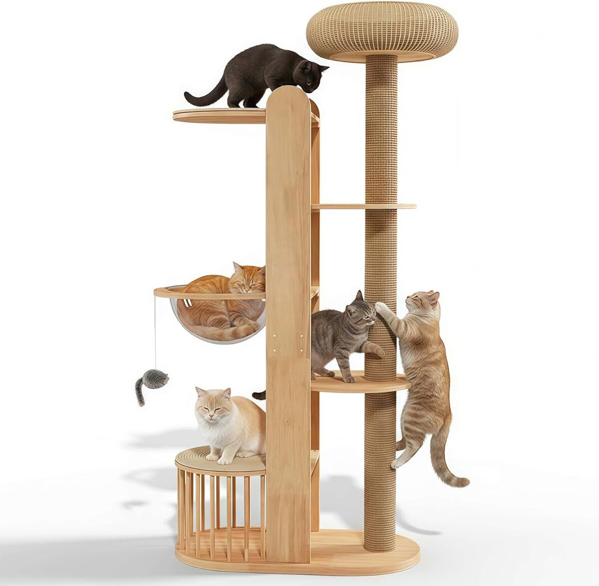 Test : arbre à chat 190cm avec cabine spatiale pour maine coon
