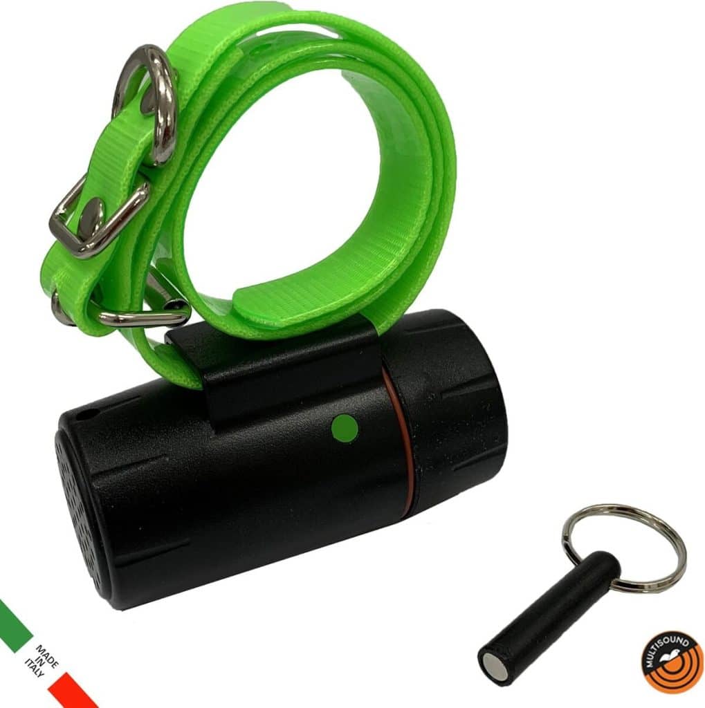 Test du collier Beeper Manuel étanche Multisound pour chien de chasse