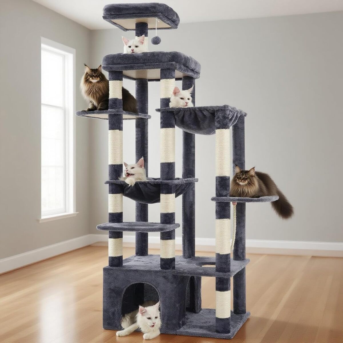 Test du Heybly arbre à chat 180 cm : maison idéale pour chats du Maine