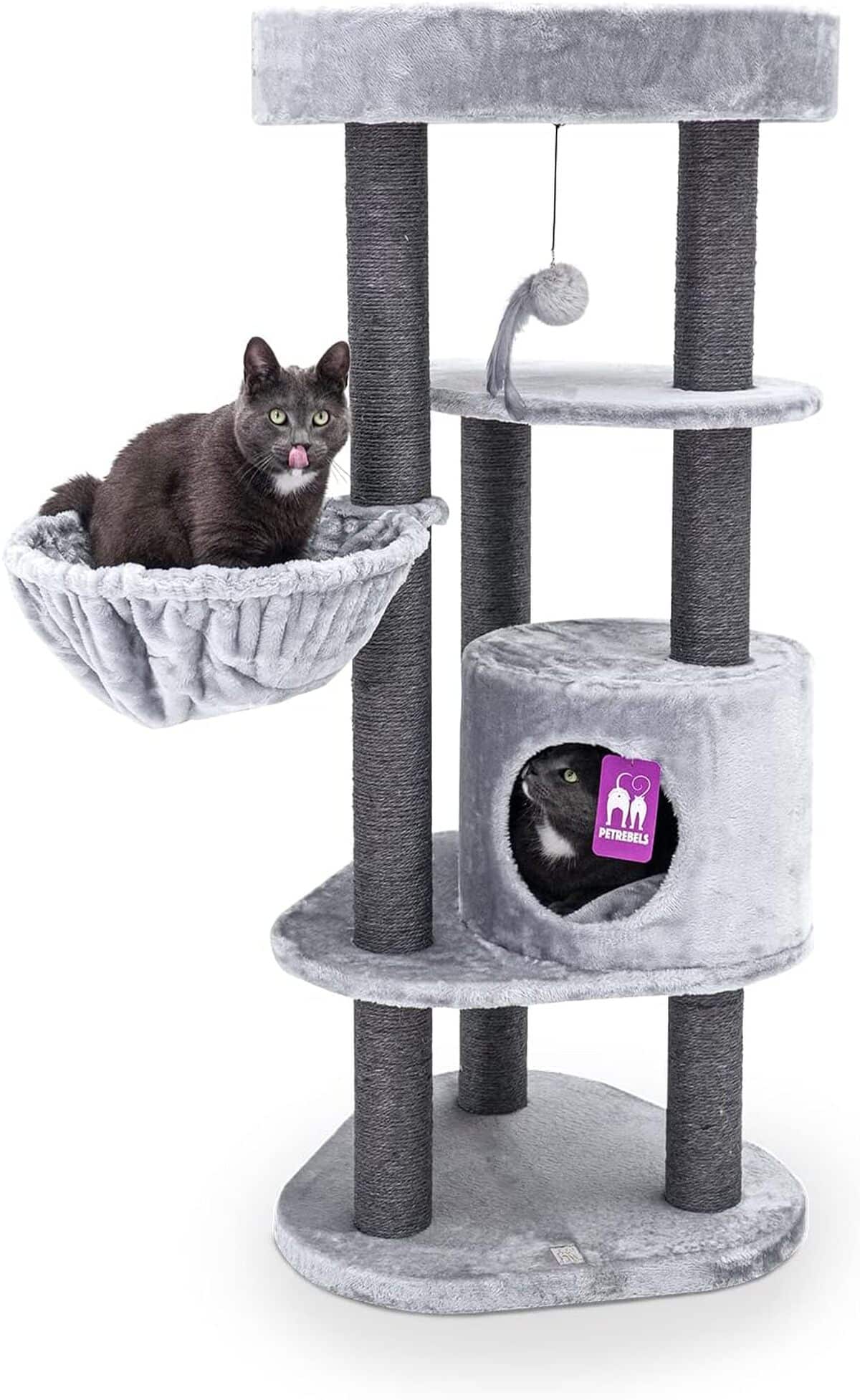 Test du Petrebels Charlotte : arbre à chat compact et confortable