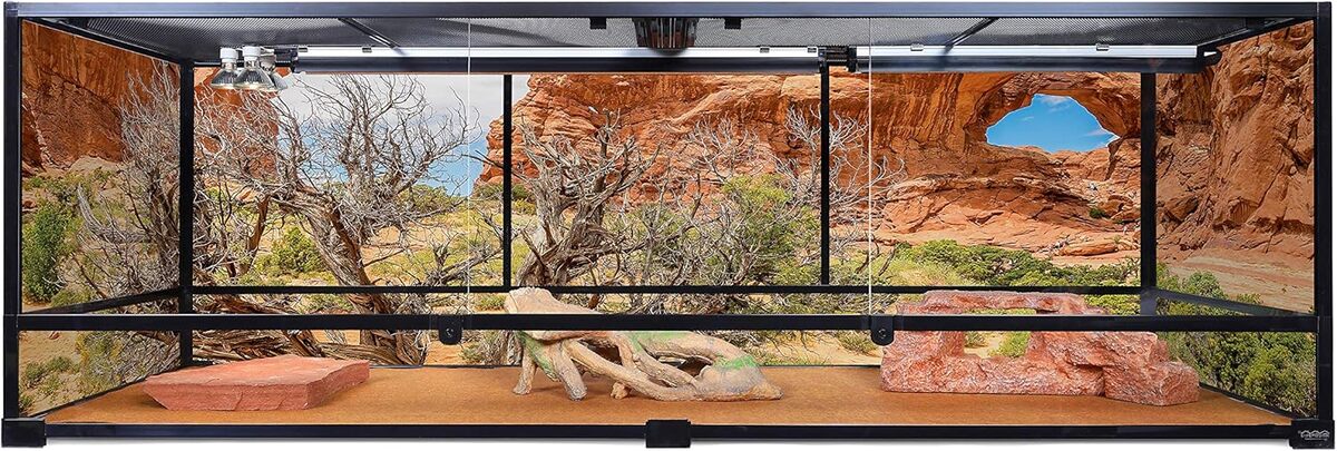 Test du terrarium géant Carolina Custom Cages 72Lx24Wx24H