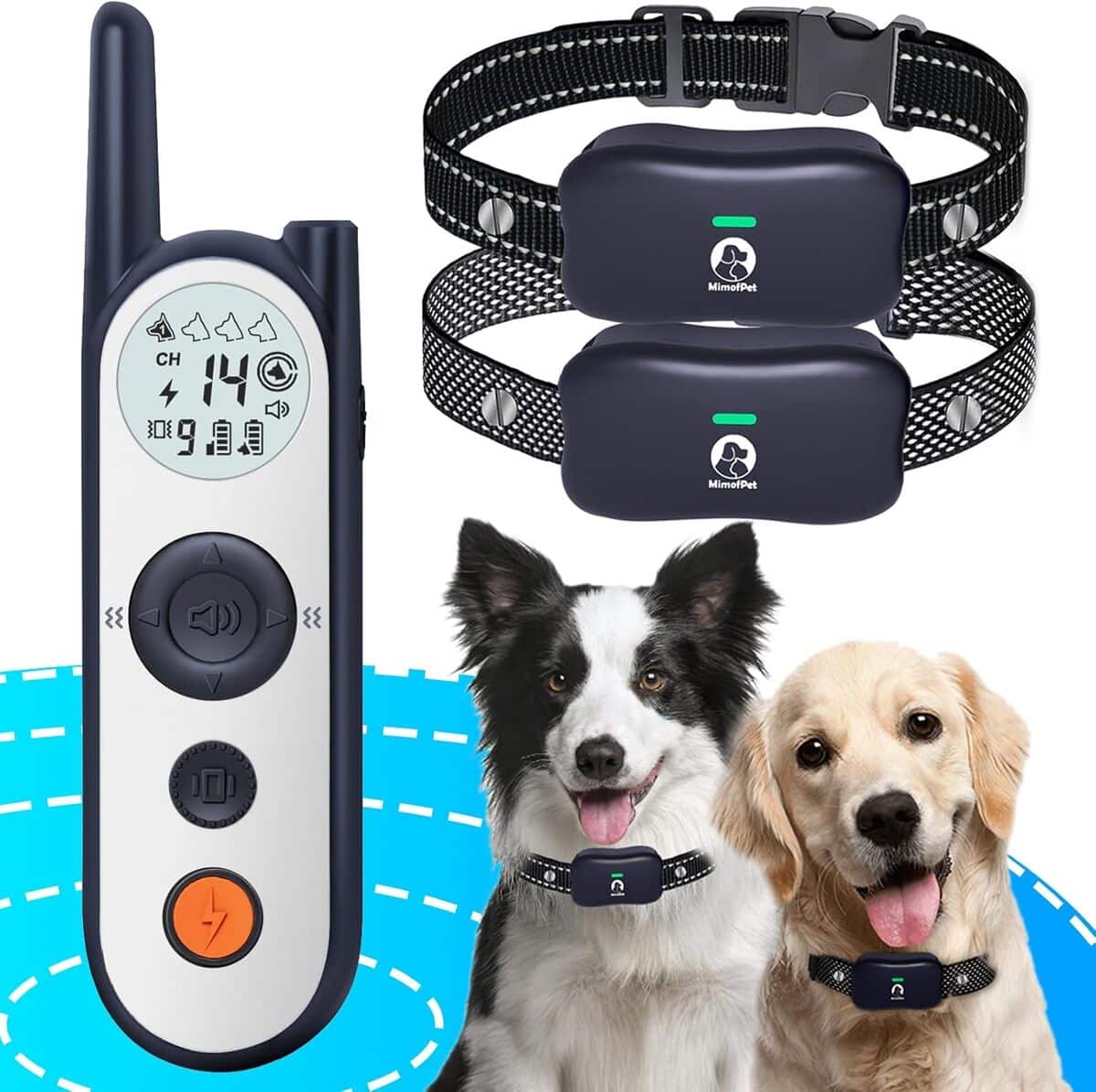 Test MIMOFPET : clôture électronique ajustable pour chien