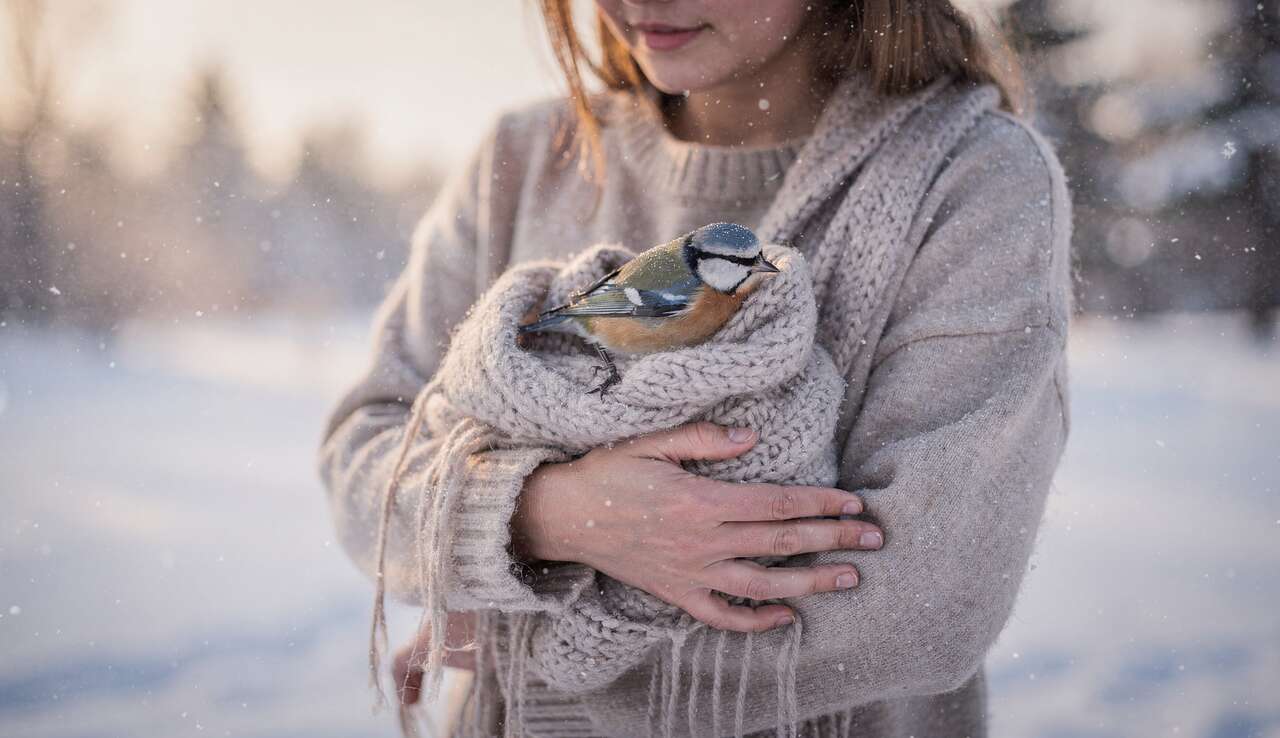 Comment transporter son oiseau en hiver ?