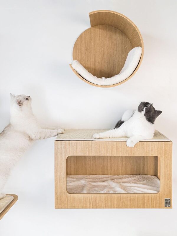 Petrebels Mur d'escalade, grotte pour chat Moon Ø 40 cm, arbre à chat mural, bois de couleur chêne, aspect rustique