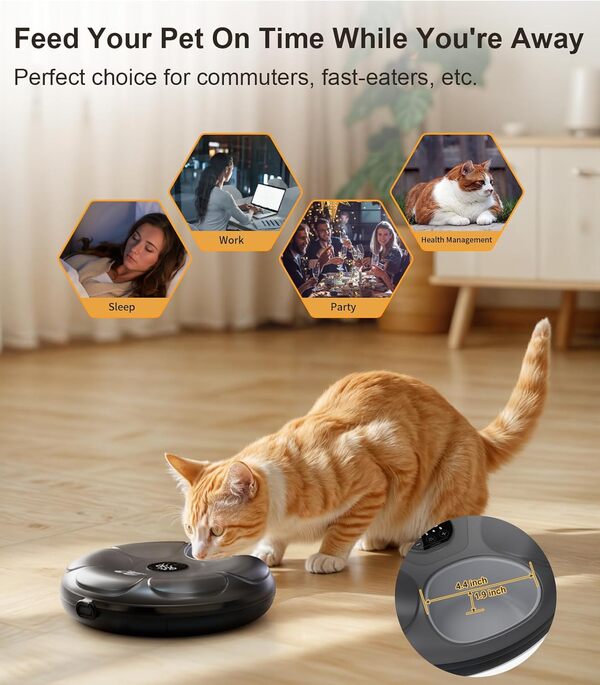 Casfuy Mangeoire Automatique sans Fil pour Chat – Distributeur Automatique de Nourriture Humide pour Chat avec 4 Blocs de Glace Rechargeables pour Chats et Petits Chiens avec minuterie programmable