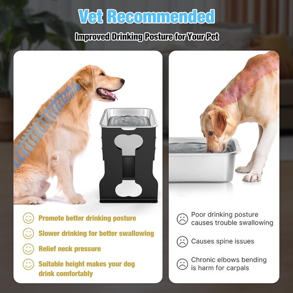 Bobbie & Laxi Gamelle surélevée en acier inoxydable pour chien 7,5 l