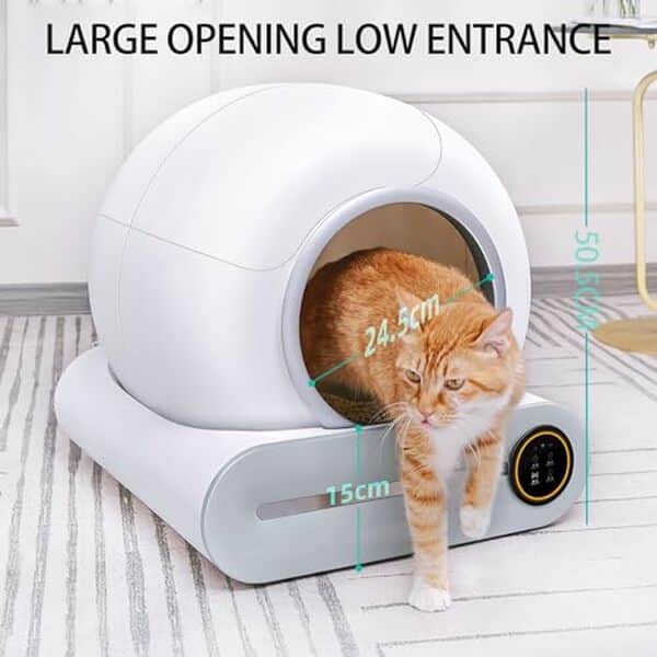 Découvrez notre test complet de la litière autonettoyante XXL Tranquille Type A : solution intelligente avec contrôle app pour un entretien simplifié et un confort optimal pour votre chat.