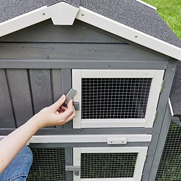 Explorez notre test détaillé de la cage clapier Don Camillo 085 en bois pour lapins : caractéristiques, matériaux et conseils d'utilisation complète pour le bien-être de vos animaux.